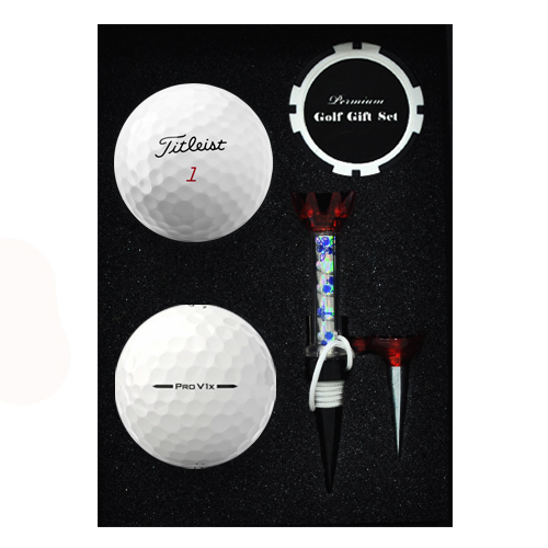 Ÿ��Ʋ����Ʈ PRO V1X 2�� ����ĿĨ �ڼ�Ƽ ��Ʈ